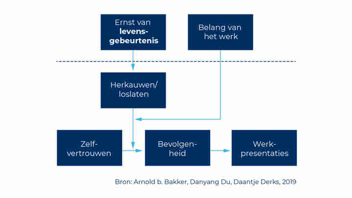 Afbeelding - Model Berenschot