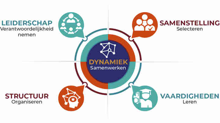 Afbeelding - Team- en samenwerkingsmodel van Berenschot