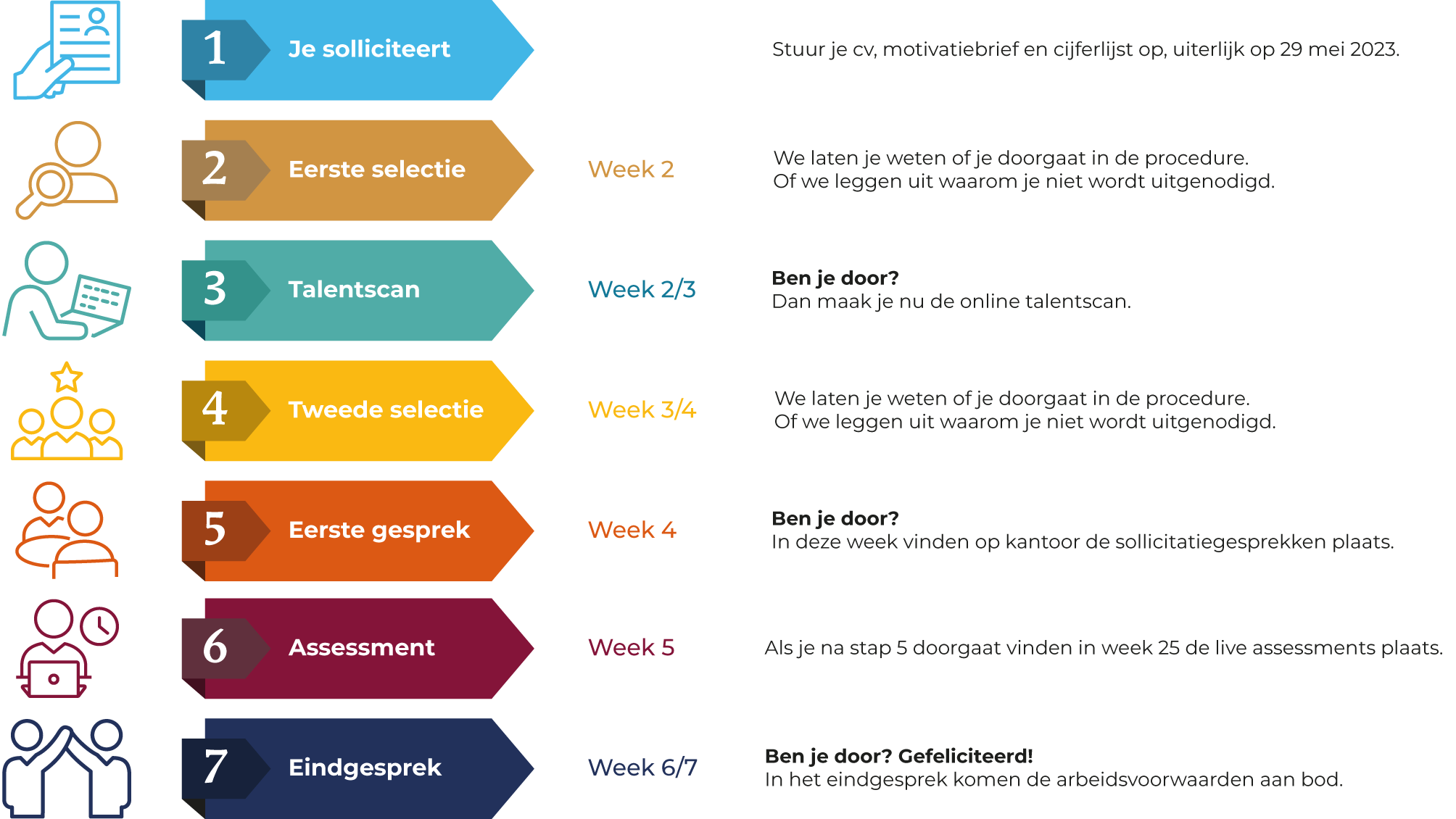 Sollicitatieprocedure voor trainees infographic