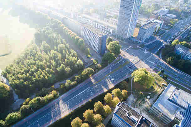Afbeelding - 