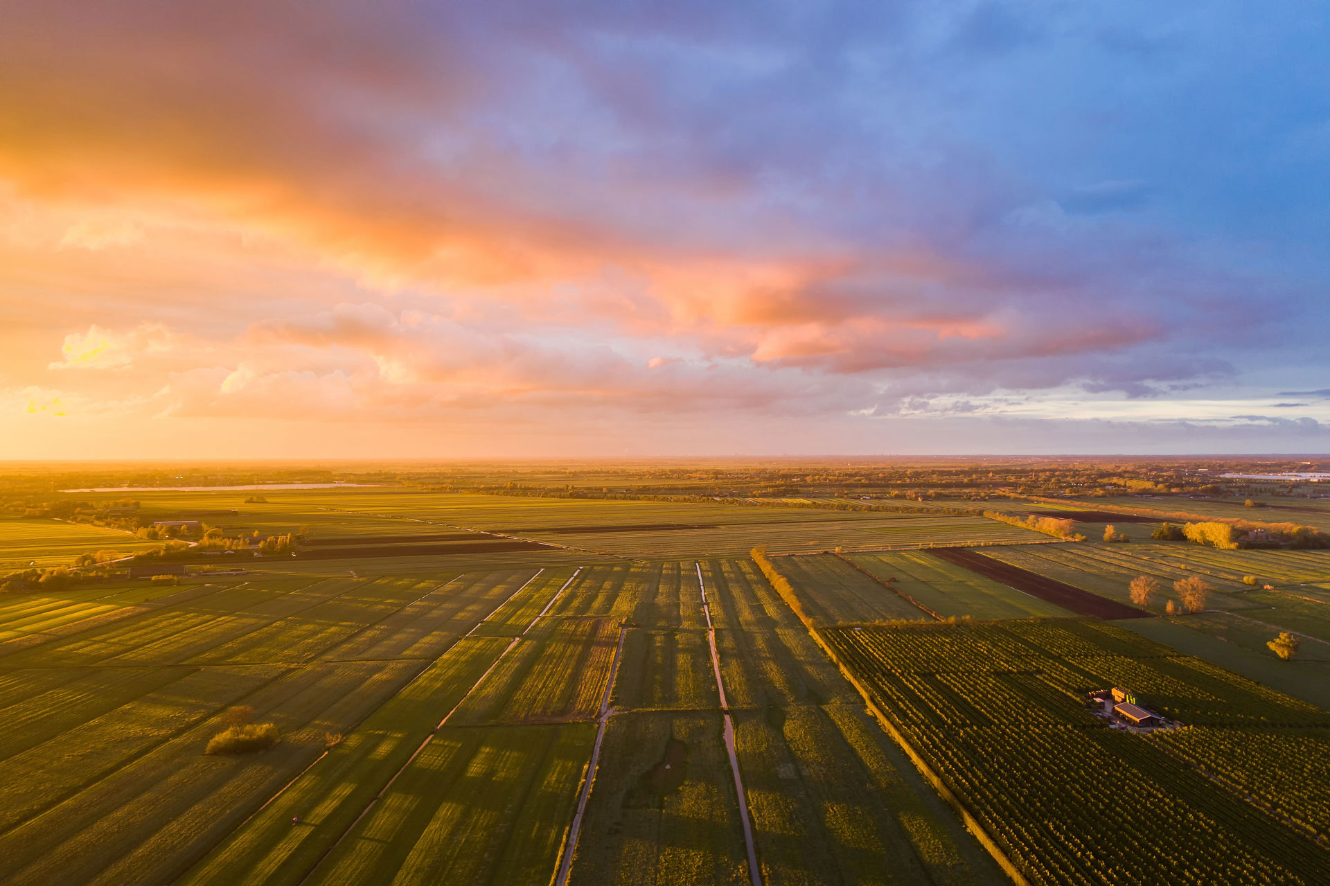 Werksessies ruimtelijke opgave: samen stappen zetten