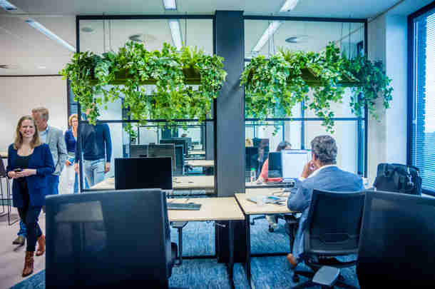 Afbeelding - Werken bij Berenschot