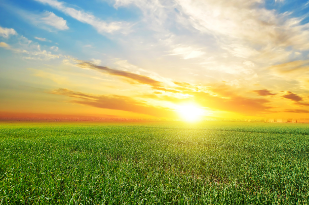 Nieuw warmtescenario door Berenschot